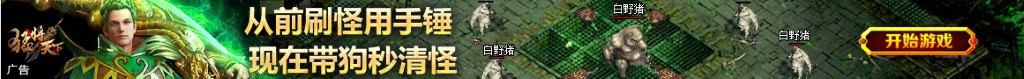 富贵竹图片